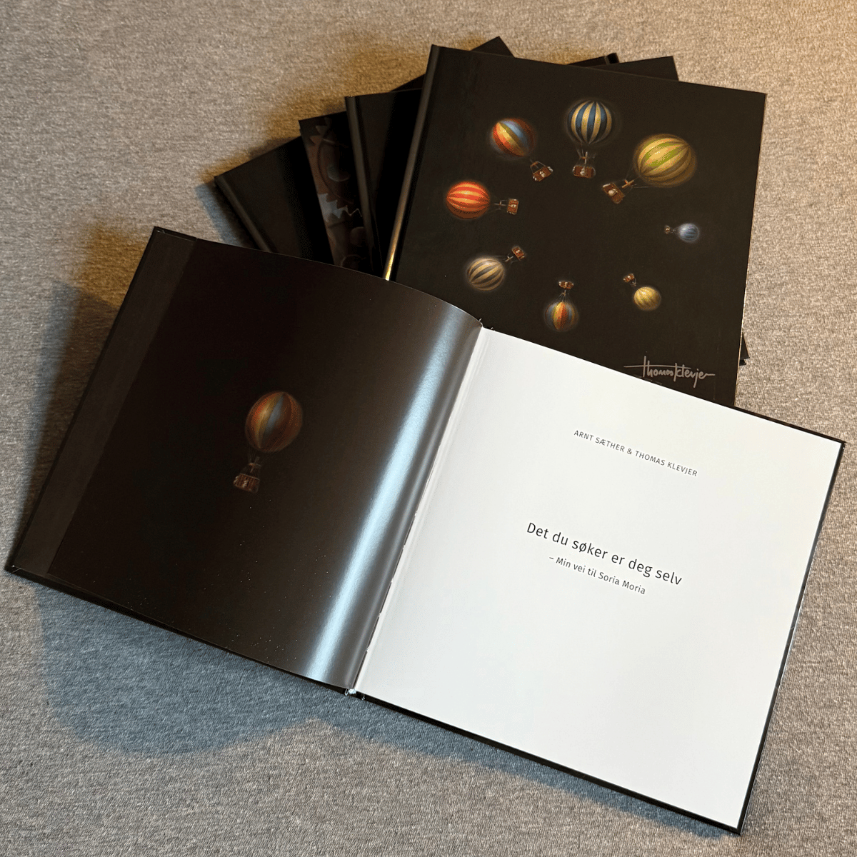 Bok - Min vei til Soria Moria